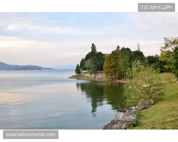 开元app:结合实际案例分析开元app的应用场景与优势 开元app:结合实际案例分析开元app的应用场景与优势